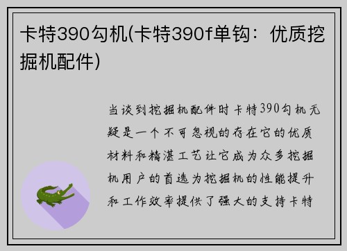 卡特390勾机(卡特390f单钩：优质挖掘机配件)