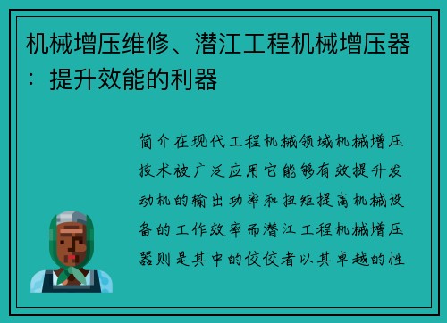 机械增压维修、潜江工程机械增压器：提升效能的利器